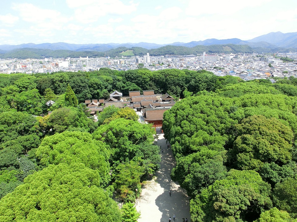 夏日京都風物詩篇 |下鴨神社森林裡的沁涼綠意 @去旅行新聞網